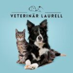 Veterinär Laurell - Djurvård i ditt hem veterinär