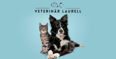 Veterinär Laurell - Djurvård i ditt hem veterinär