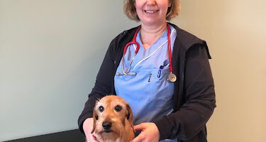 Veterinär Lövenkjaer veterinär