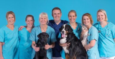 Vettris Halmstad/ Flygstaden Veterinärklinik veterinär