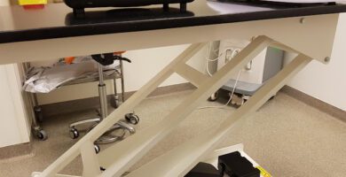 Vettris Västerås veterinär