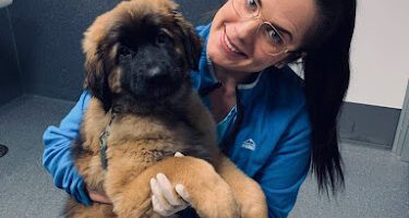 Vettris i Bålsta veterinär