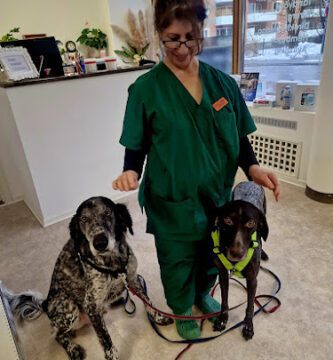 Vetvet Djurklinik AB veterinär