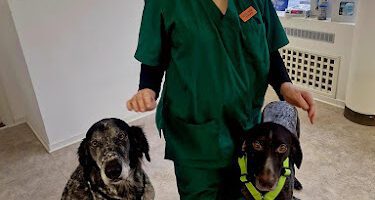 Vetvet Djurklinik AB veterinär