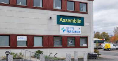 Wetter Animal Clinic veterinär