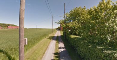 White Diamond Dreams kennel hundpensionat