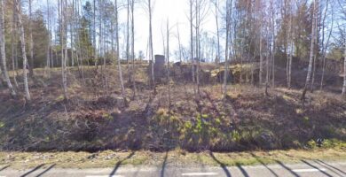Björnåsens Hundpensionat