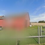 Black and Buffs Hundpensionat och Hunddagis