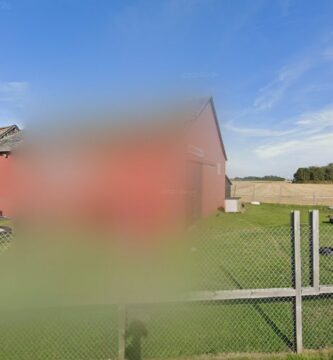 Black and Buffs Hundpensionat och Hunddagis