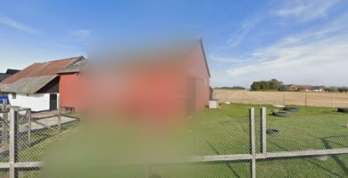 Black and Buffs Hundpensionat och Hunddagis