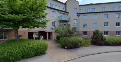 Dianas Husdjursservice i STHLM