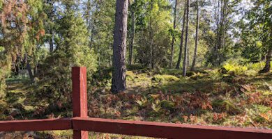 Nybergs Hundpensionat & Hunddagis