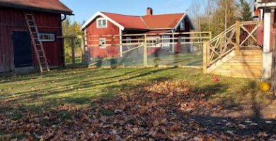 Teampowerdogs Odensbacken