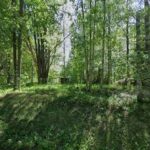 Hånkatorpets Hundpensionat