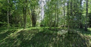 Hånkatorpets Hundpensionat