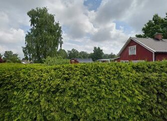 Tassarnas Hunddagis Hammarö HB